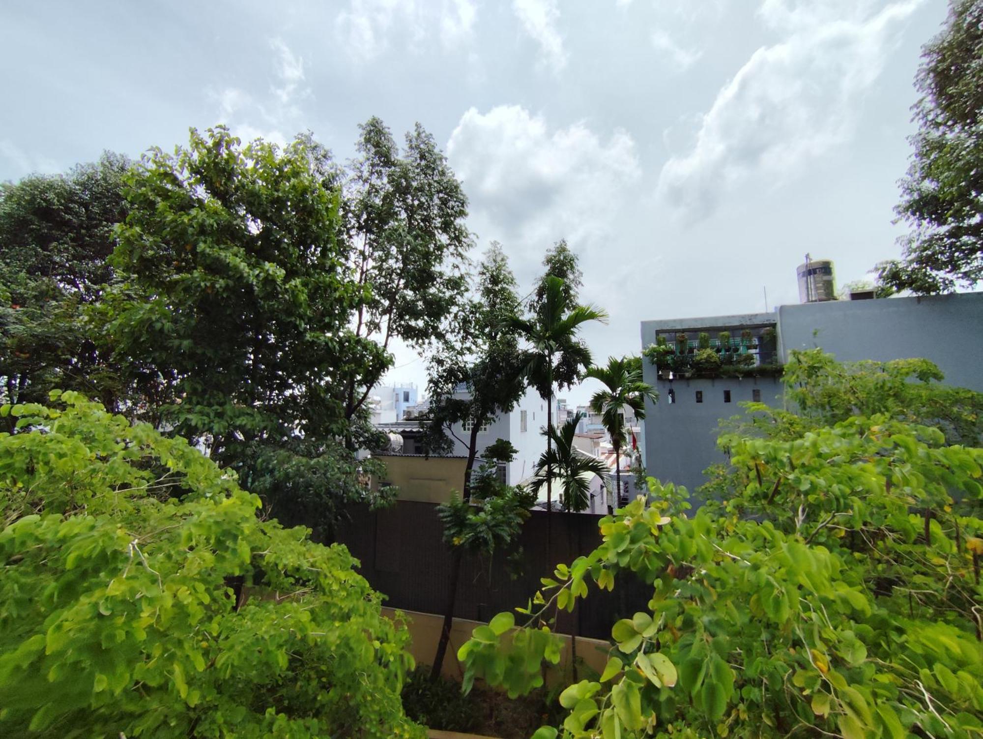 Garden Collection By Elevate *
